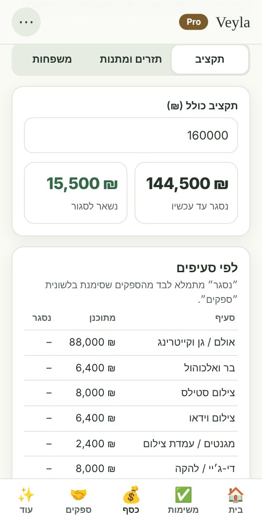 התקציב לפי סעיפים: מתוכנן מול מה שנסגר